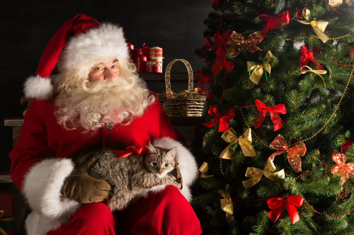 Kurze Weihnachtsgeschichten